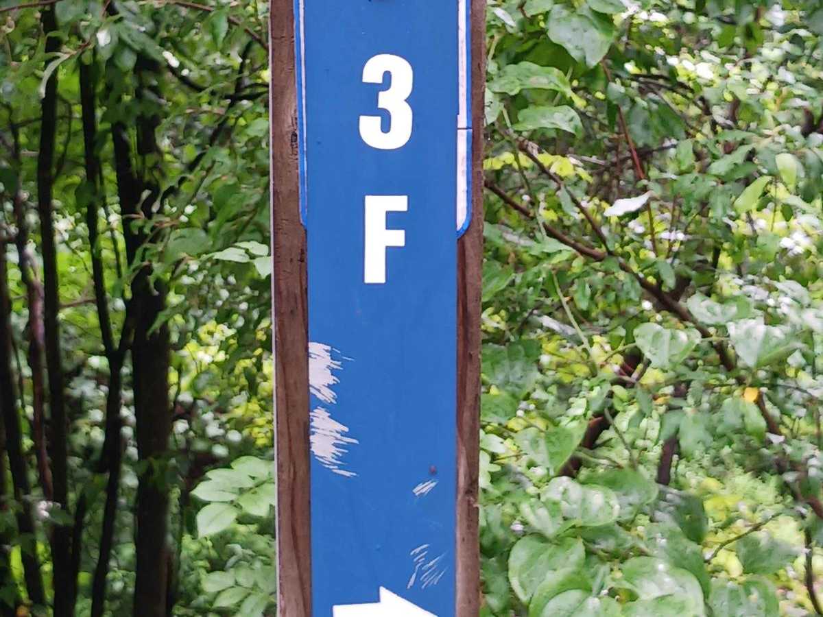 Trail 3F - Rock Run Recreation Area trail photo