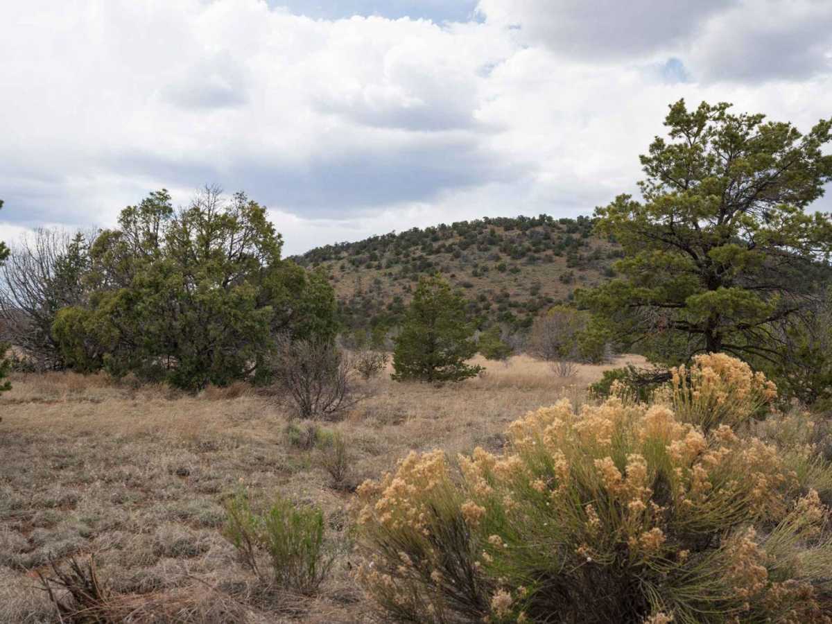 Chain of Craters Backcountry Byway photo 6