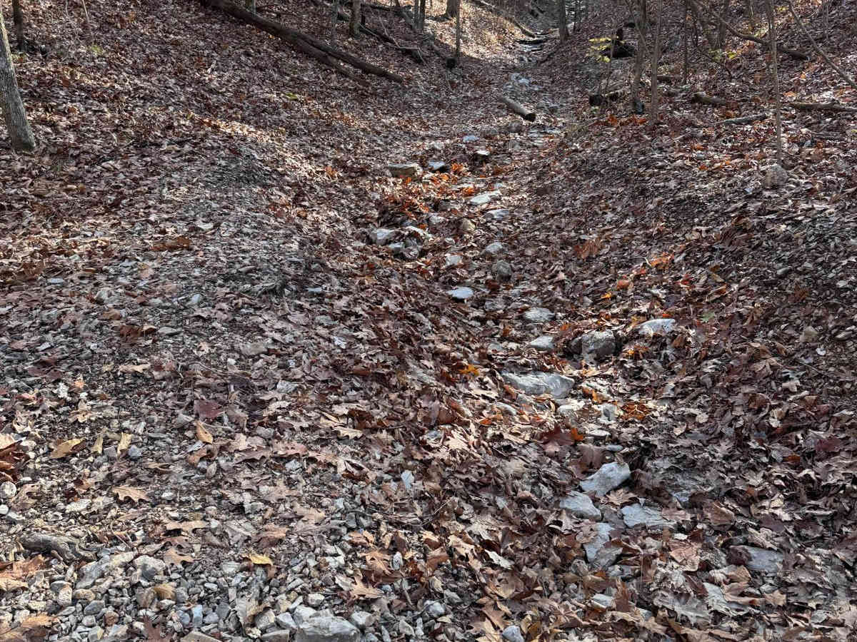 Red 170 trail photo
