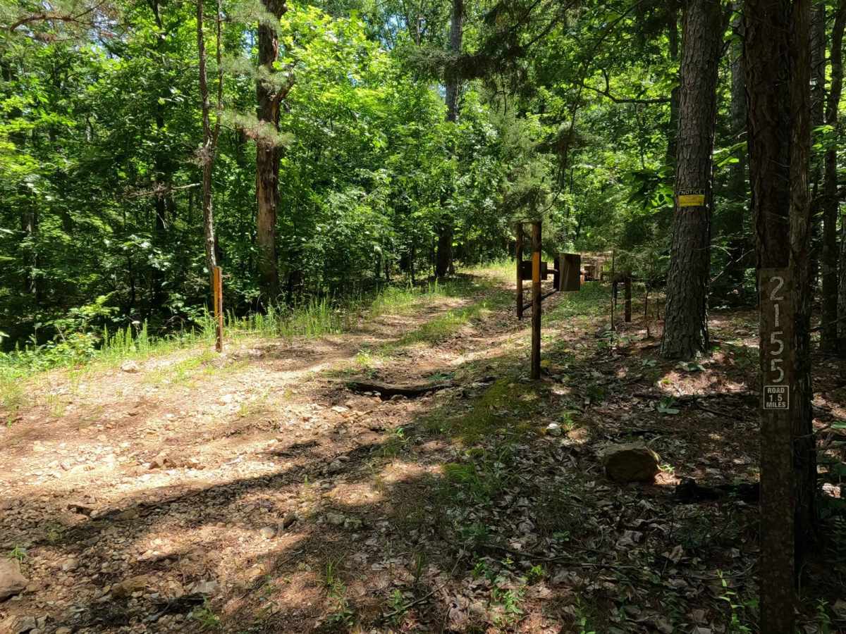 Reader Hollow FSR 2155 trail photo