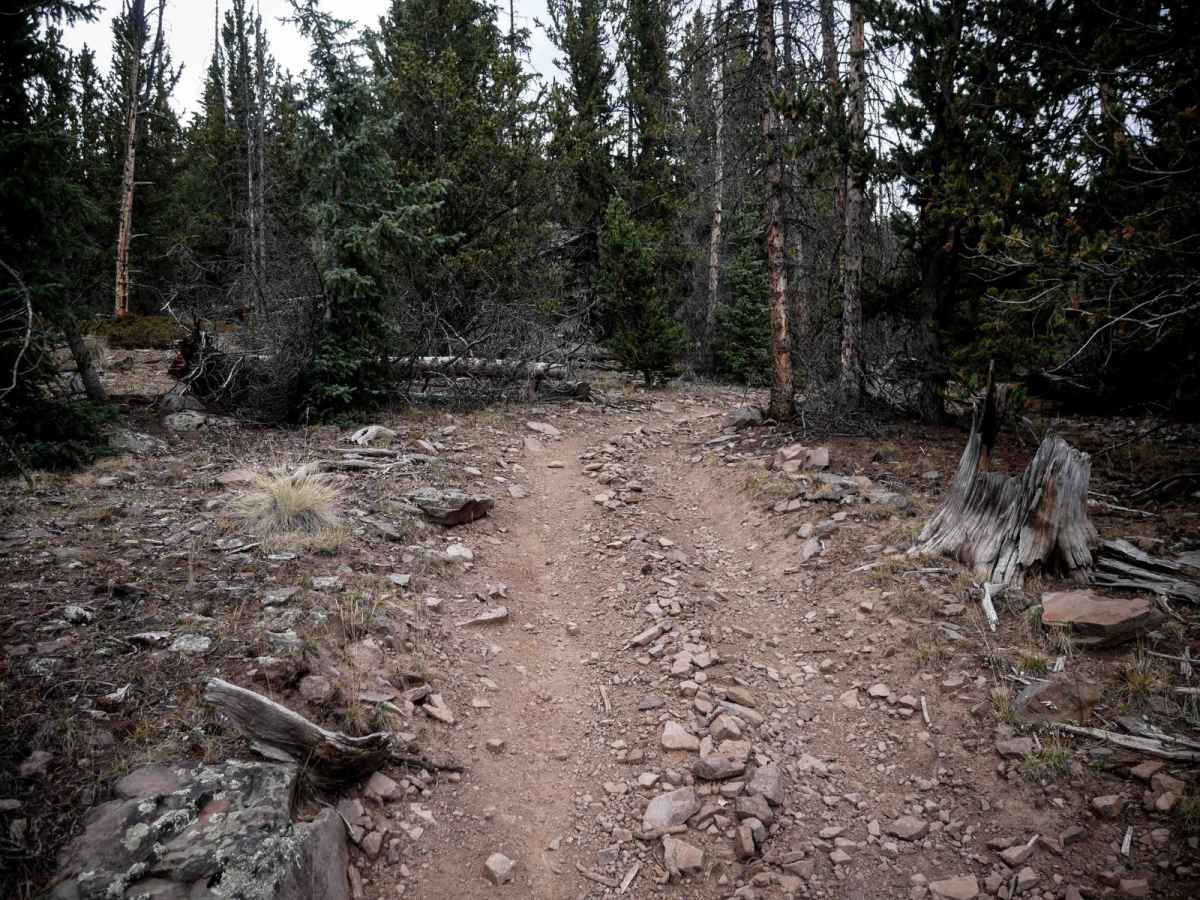 La Garita Creek Cutoff ATV photo 6