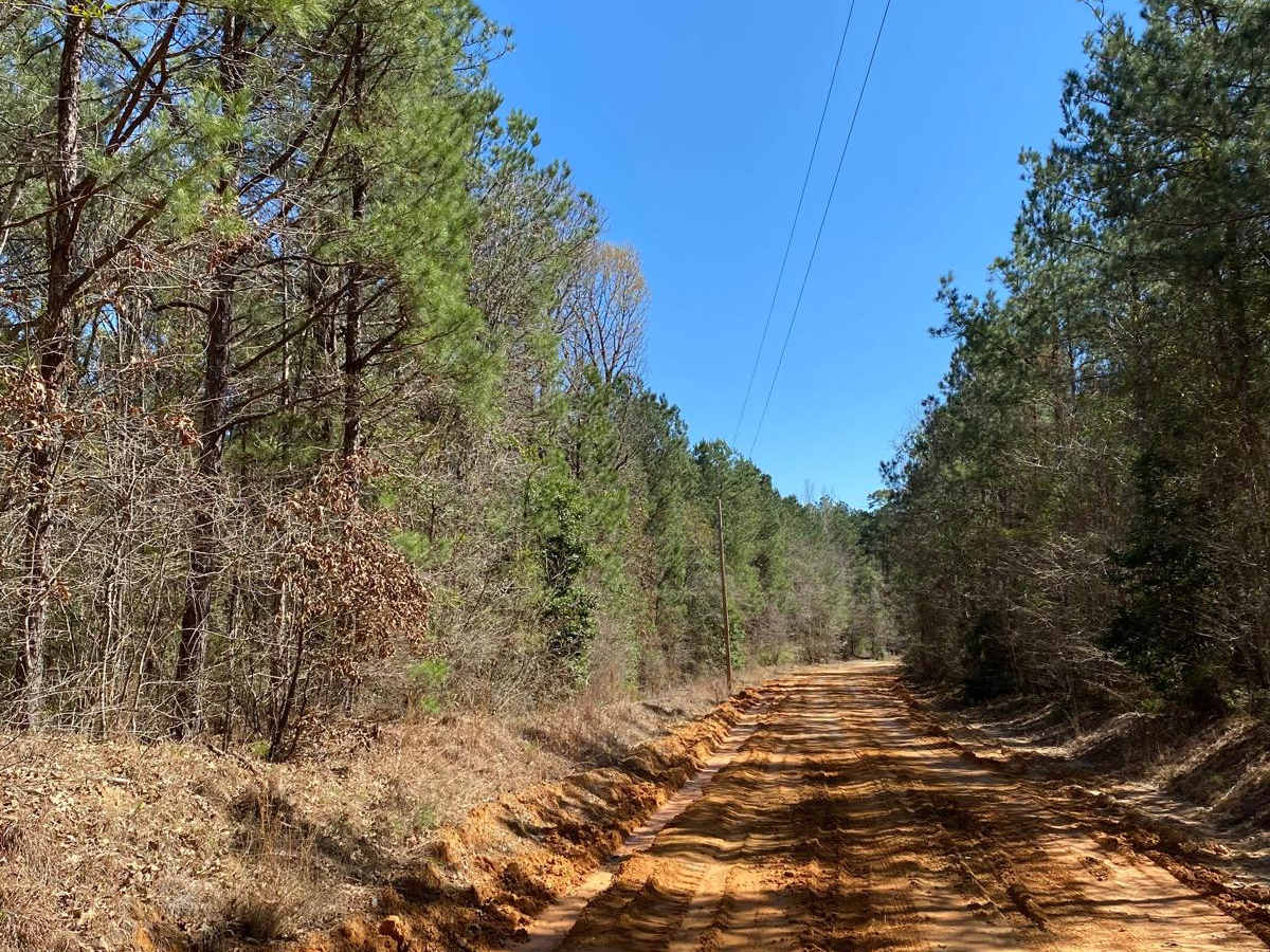 Jake Anding Trail photo 4