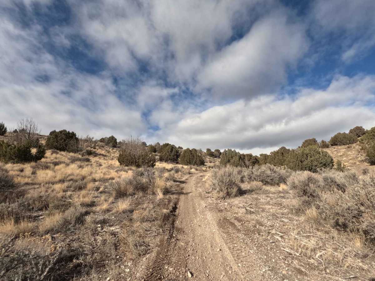 501 trail photo