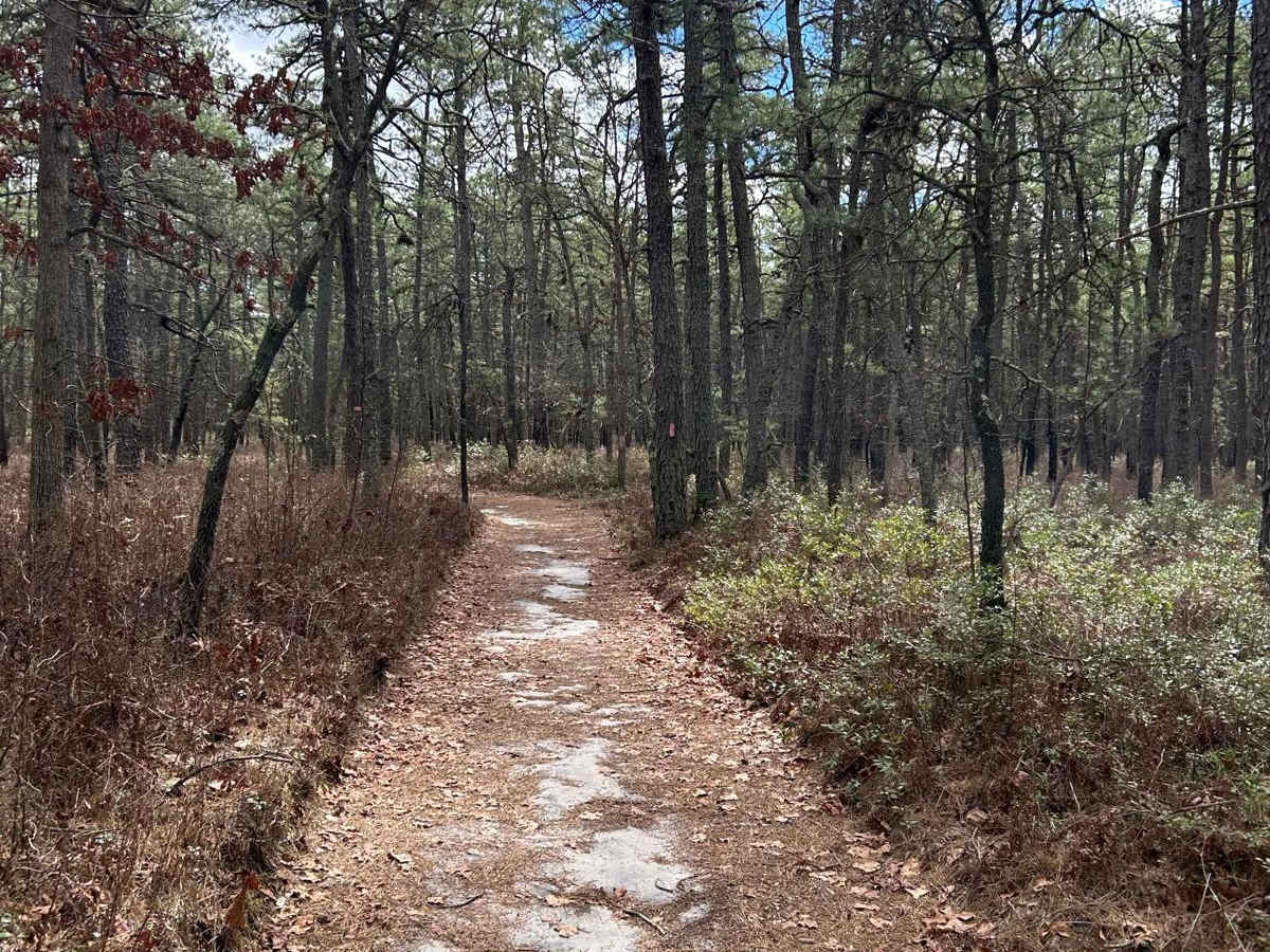 Marcus Trail photo 3