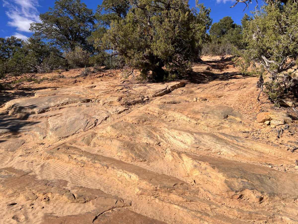 Hog Canyon 3 - City Loop (BLM HC3) photo 6