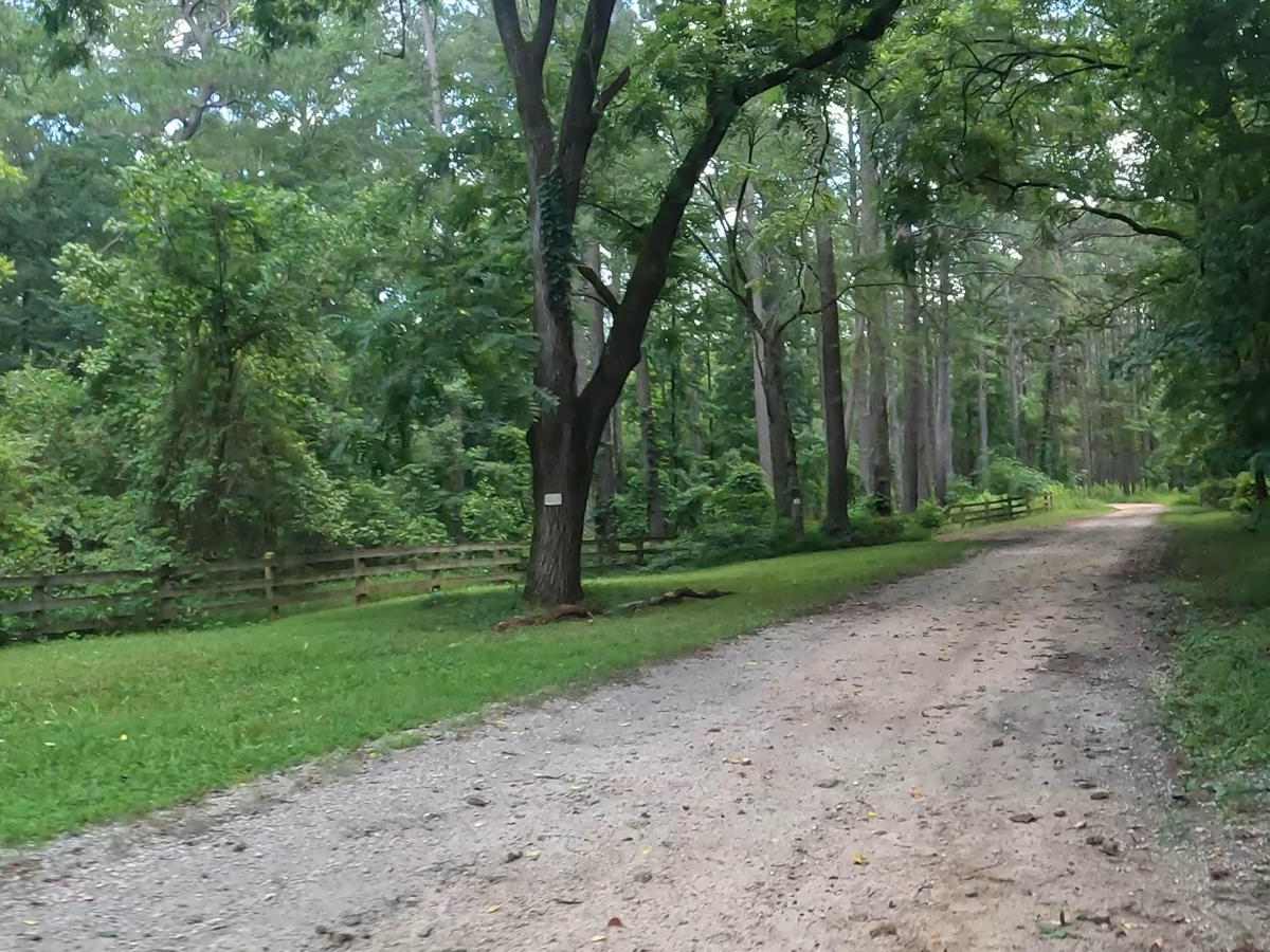 Penfield Hunt Camp Road trail photo