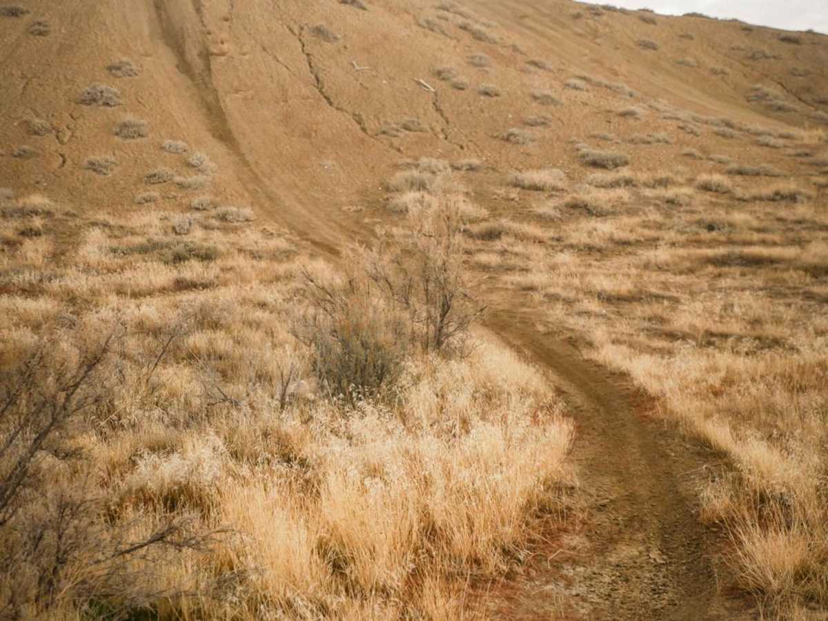 Trails 137 and 145 photo 2