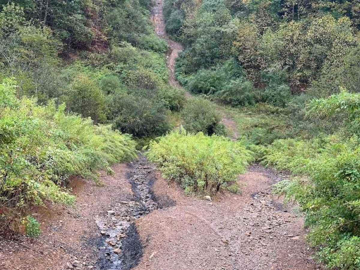 Black Hillclimb photo 4