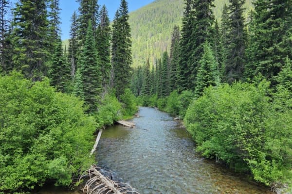 Coal Creek to Dead Horse #317