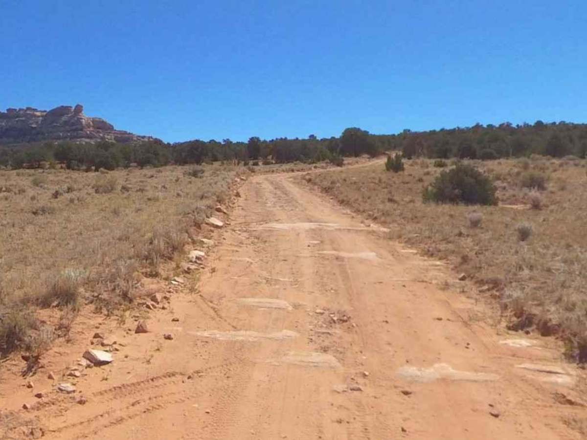 Beef Basin Road Loop - San Juan County B104 photo 4