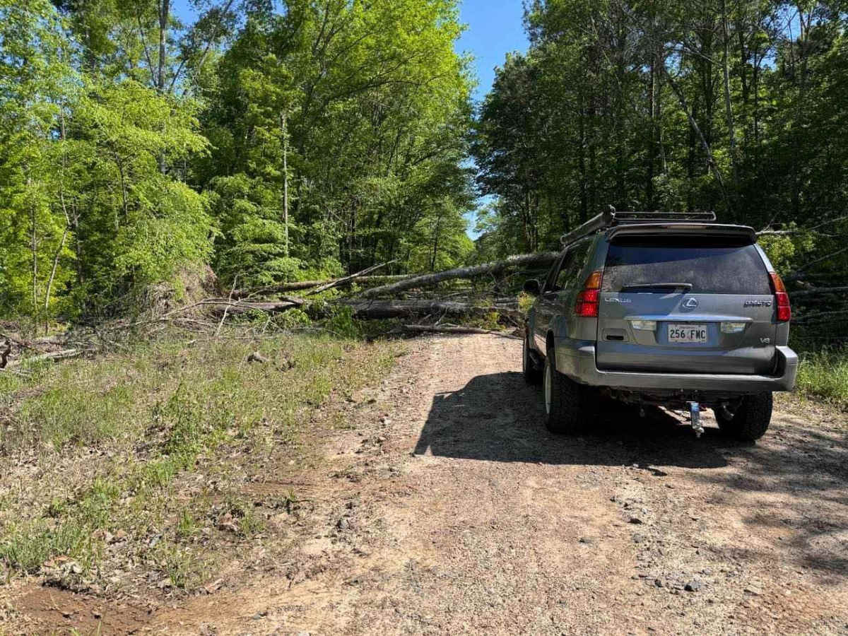 Fox Camp Road photo 2