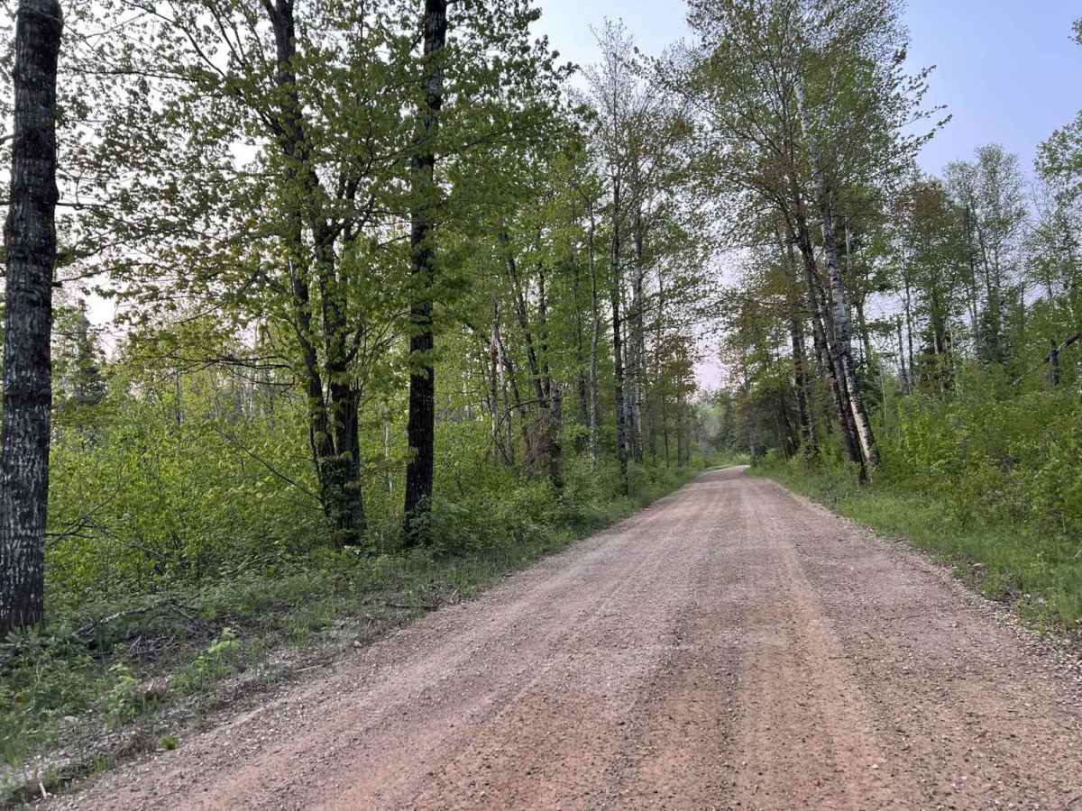 Lyons Lake Road photo 5