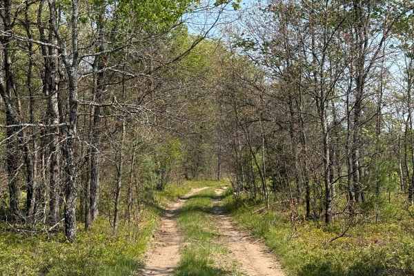 No. 2 East Trail