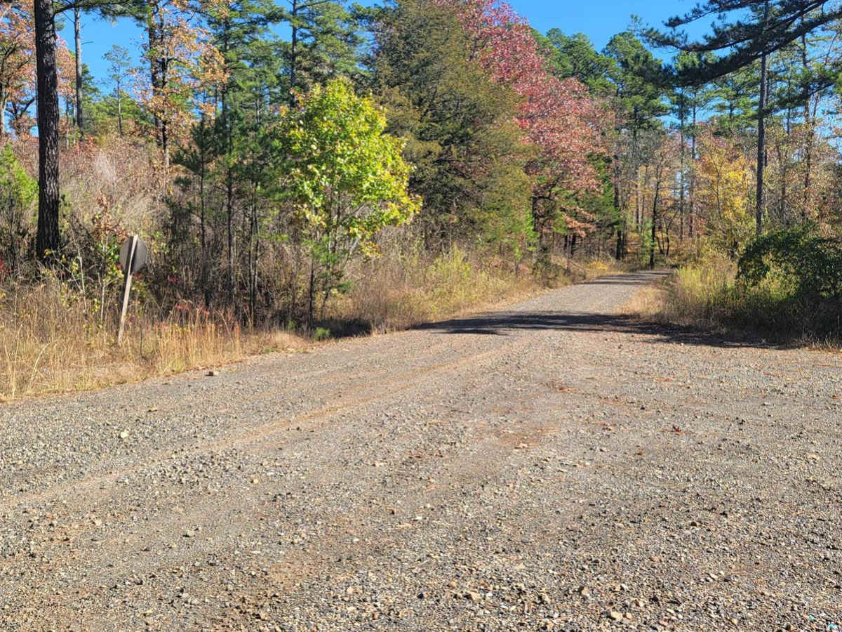 Jones Camp photo 2