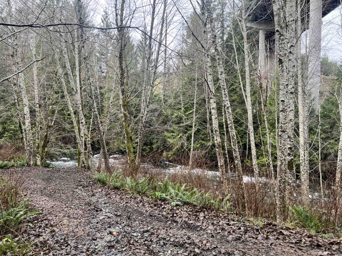 Whiskey Creek FSR photo 5