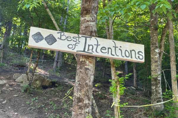 Best of Intentions
