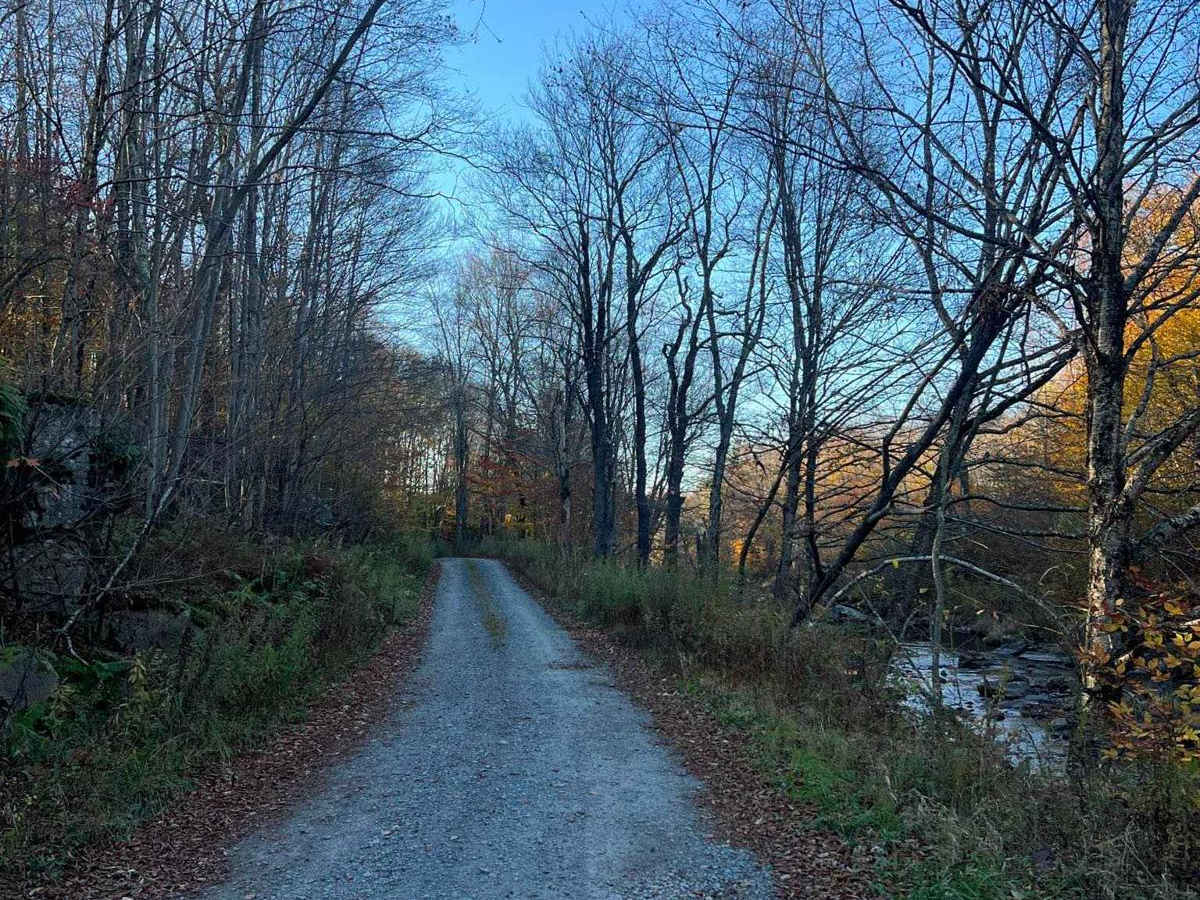 Plank Road trail photo