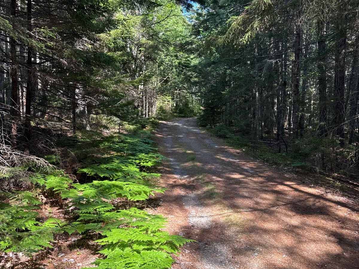 Western Mountain Road photo 3