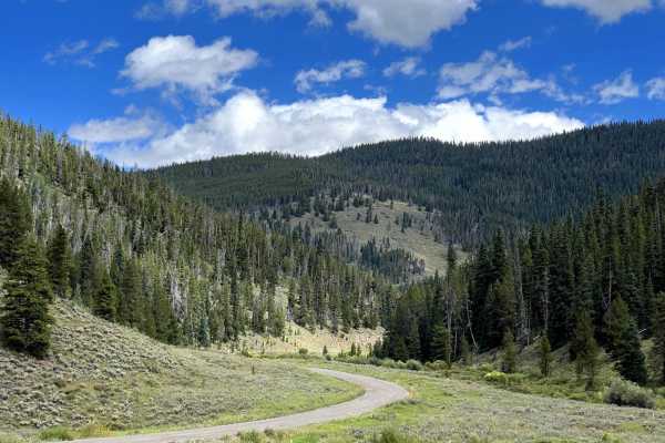 Tiger Road to Greenhorn Gulch