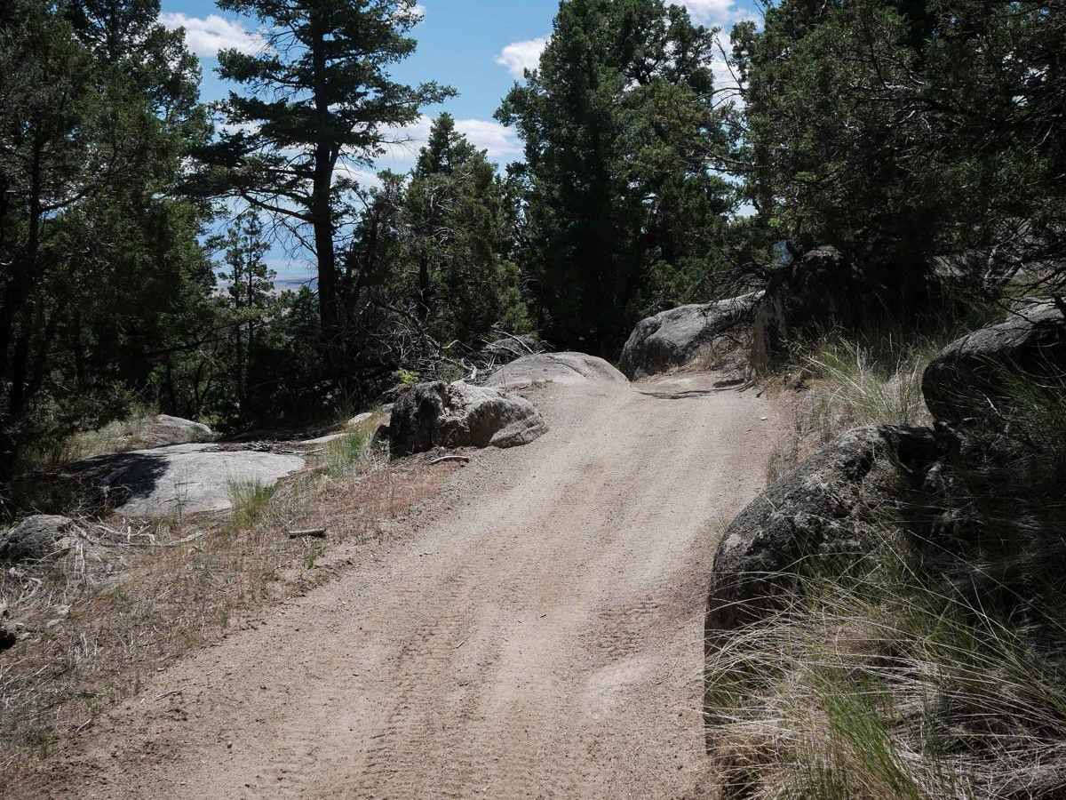 BLM 14 photo 5