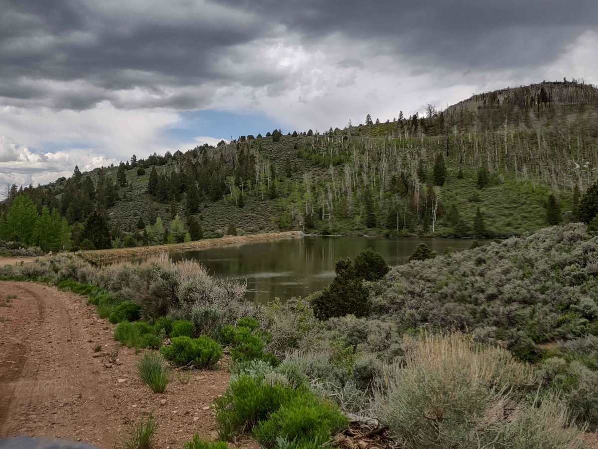 Lower Box Creek Reservoir (FS# 40159) photo 6