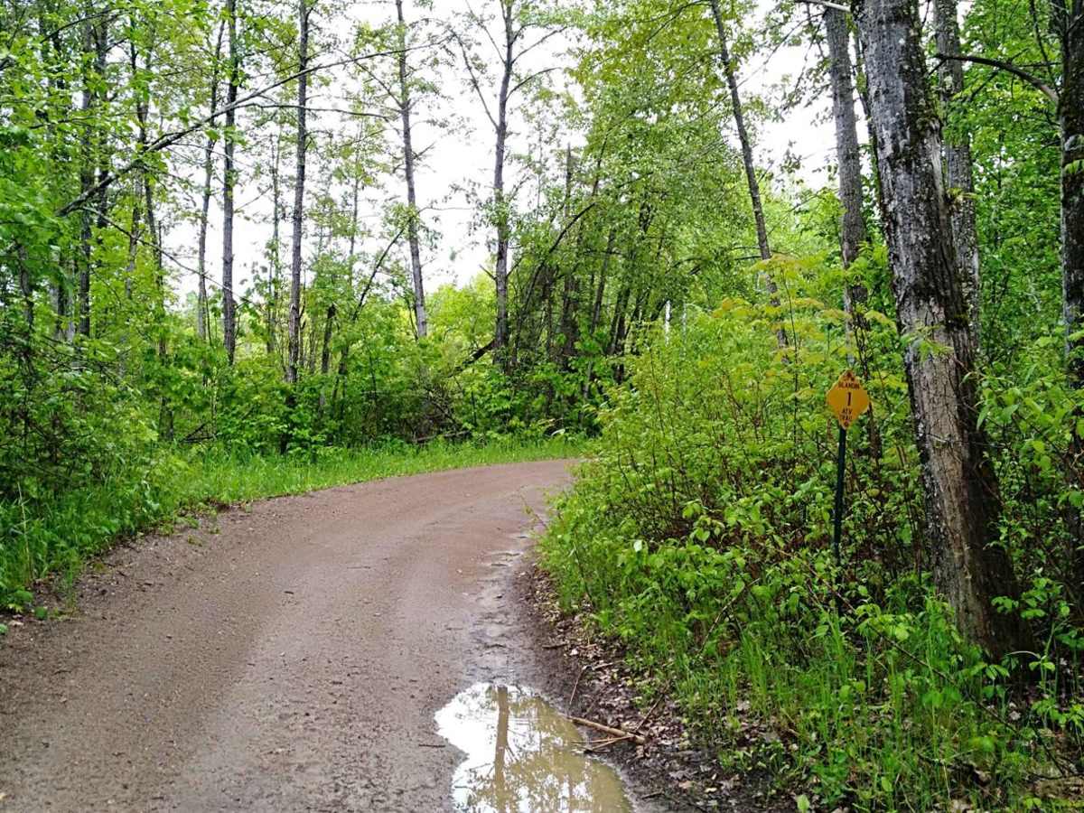 UPM Blandin Trail South trail photo