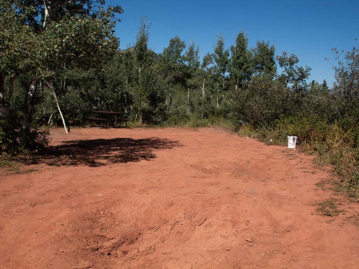 Foundation Loop (FR 80257-A) photo 3