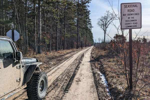 Pine Drive