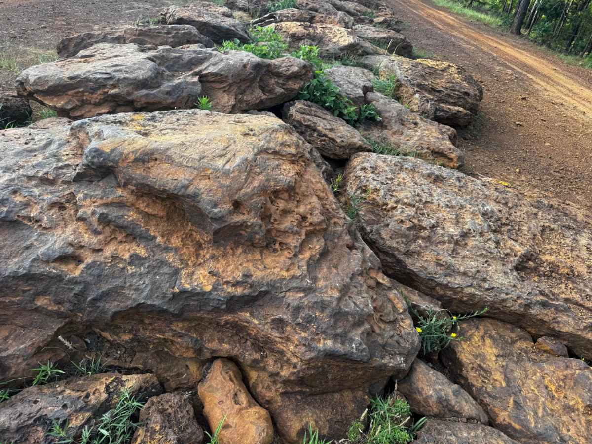 Rock Garden photo 4