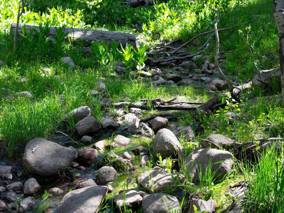 Heber Mtn (FR 70096) photo 4