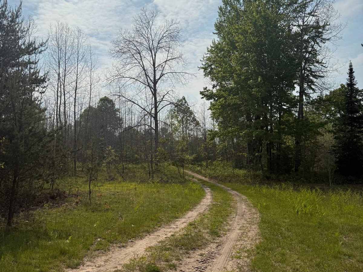 39-1/4 Trail photo 3