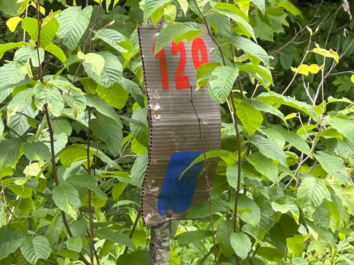 129 trail photo