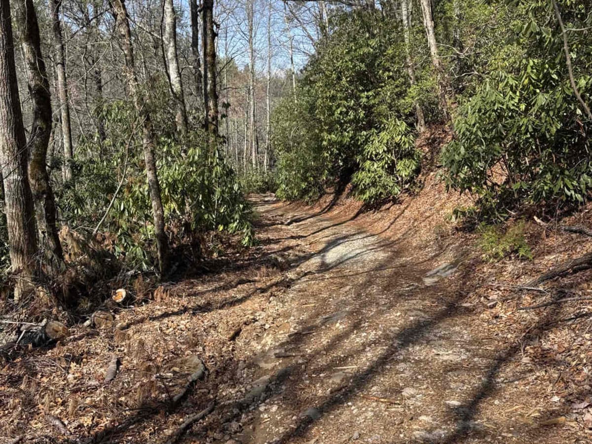 Darnell Creek - FR 150 photo 2