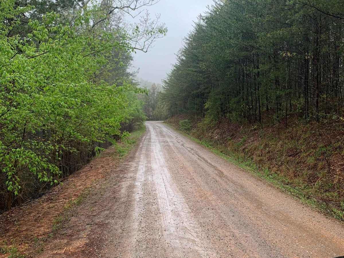 Sina Branch Road - Big Frog photo 5