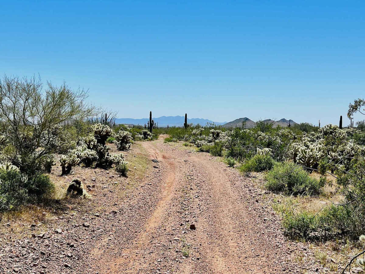 9058 Old Corral photo 4