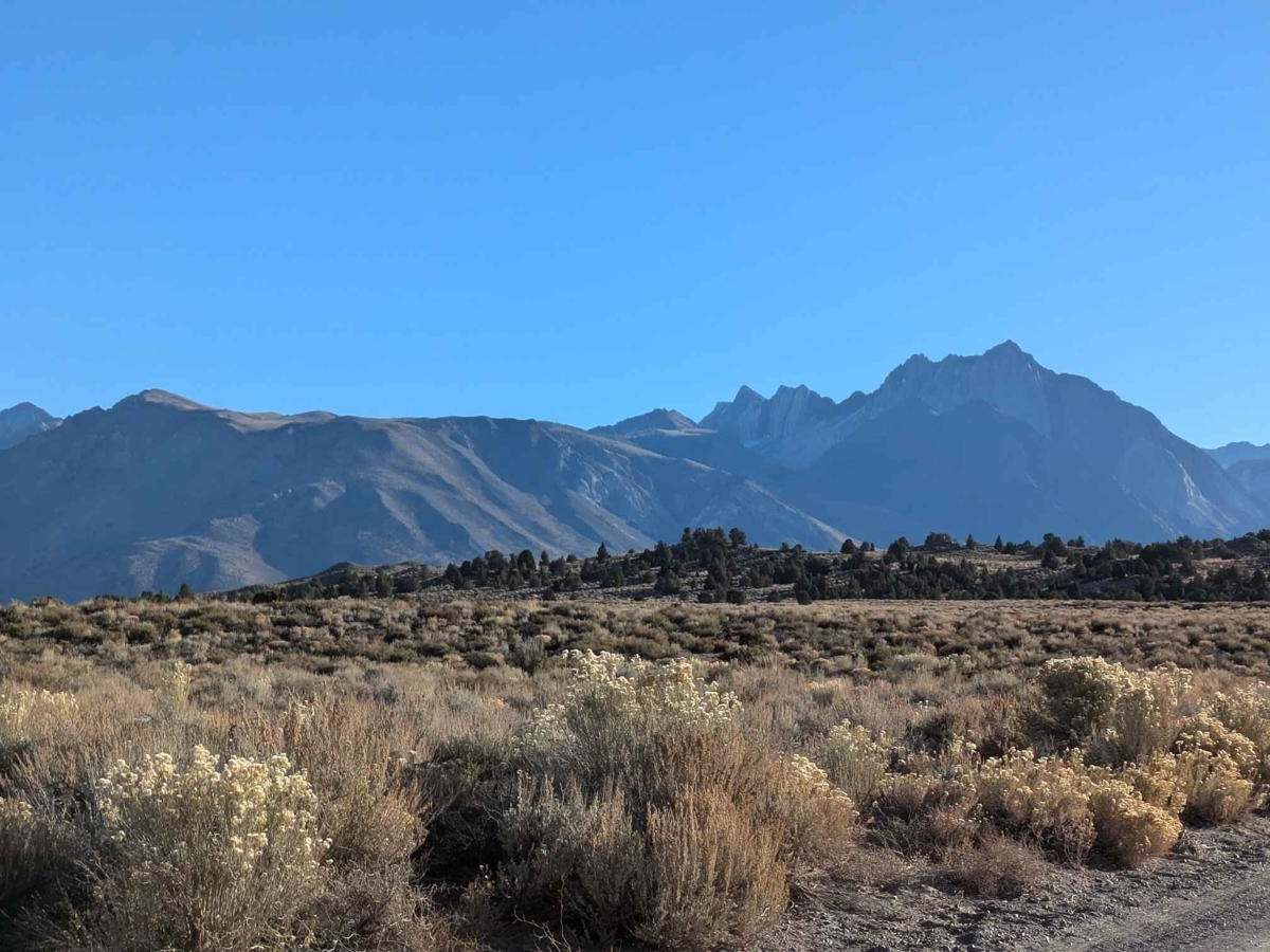 Hot Creek Hatchery Road  photo 5