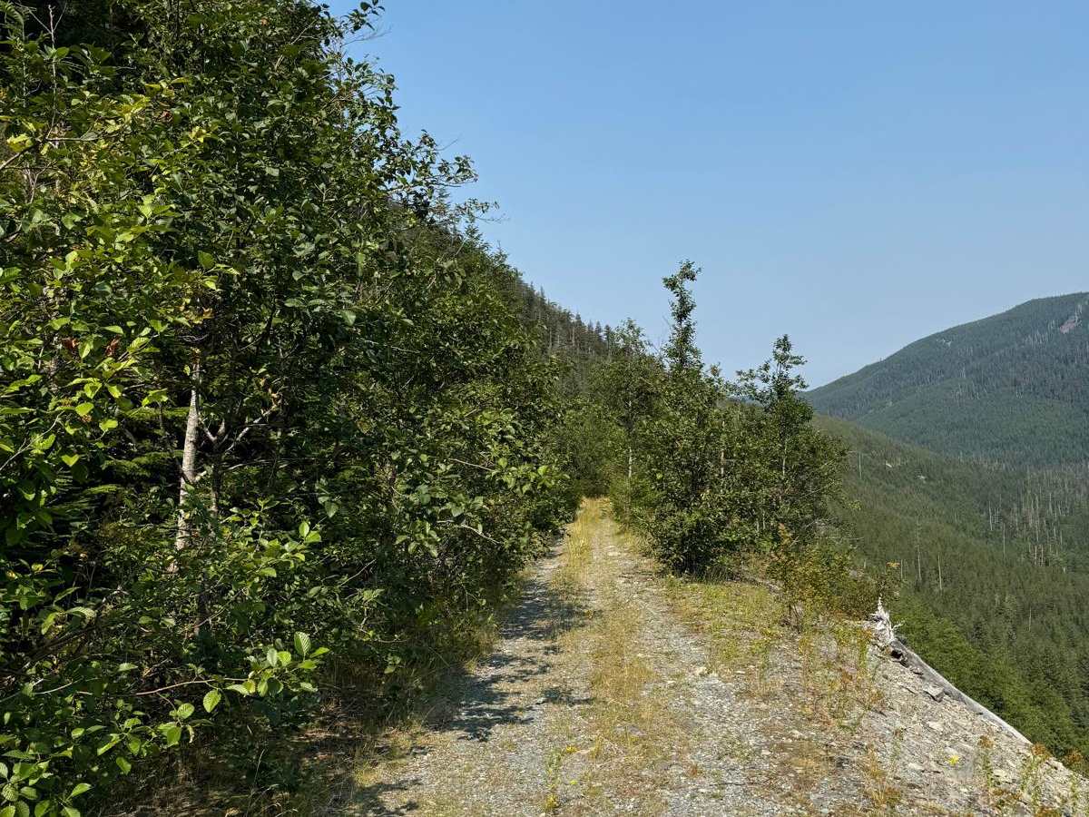 Bare Mountain Road trail photo