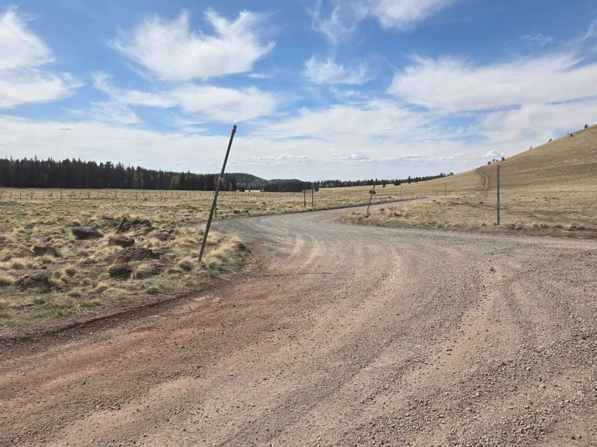 Forest Service Road 61/64F photo 3