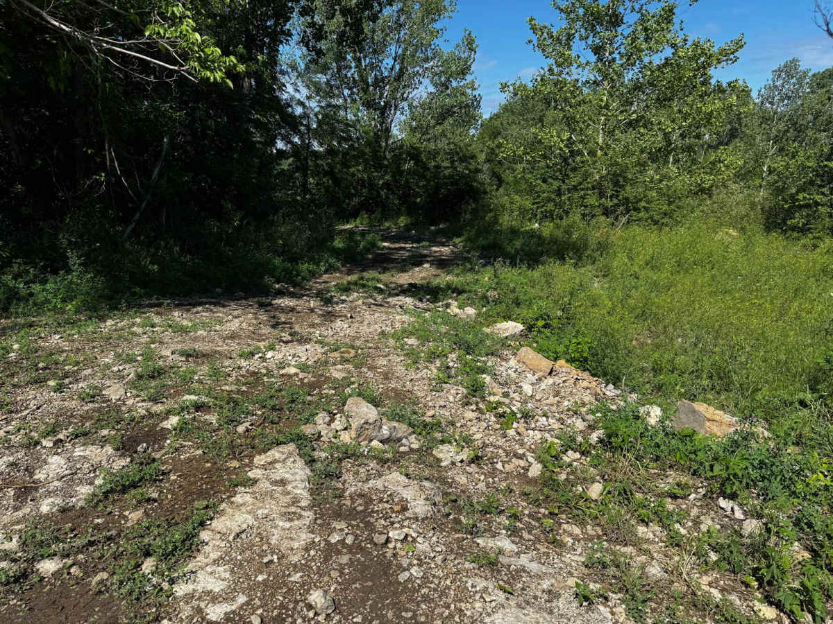 V Notch 207 trail photo