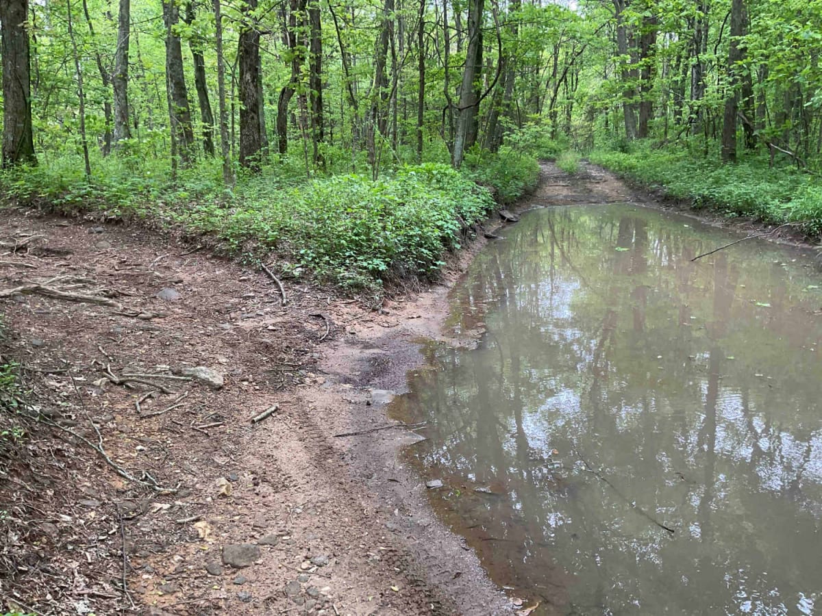 Amicalola Creek - FS 46 photo 6