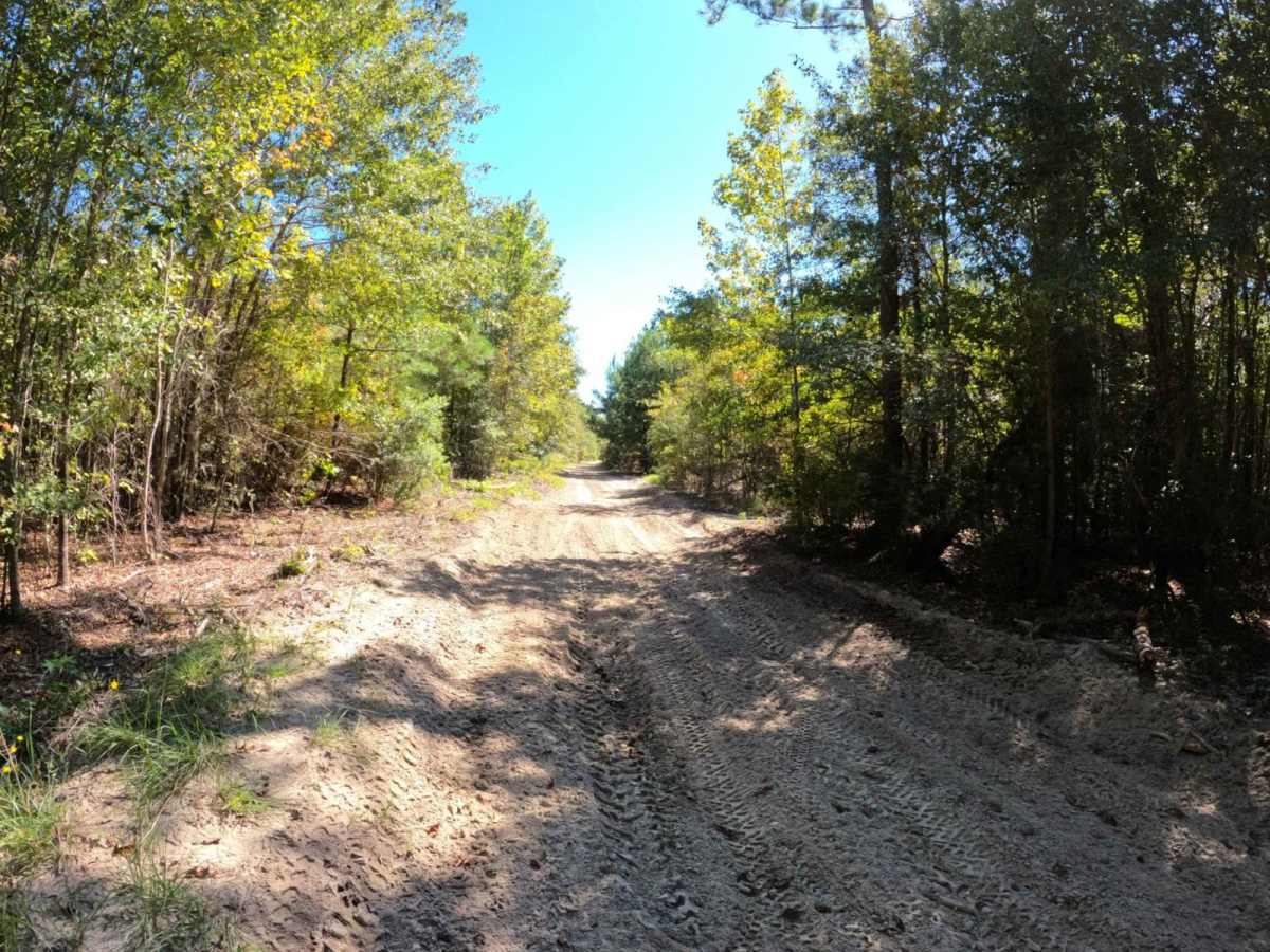 Gail's Trail photo 2