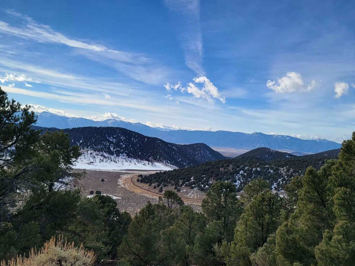 Big Buck Meadows Trail photo 4