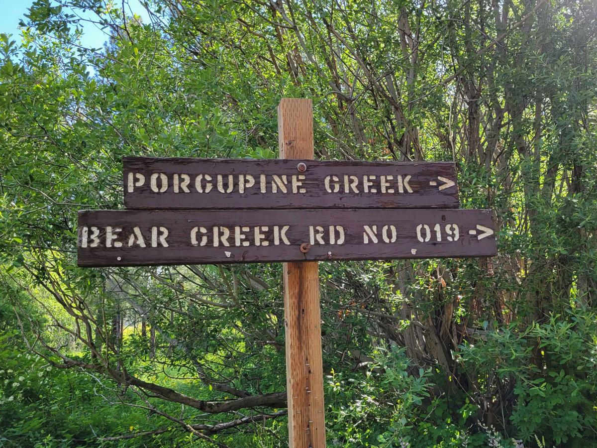 NR 019 - Bear Creek Saddle photo 3