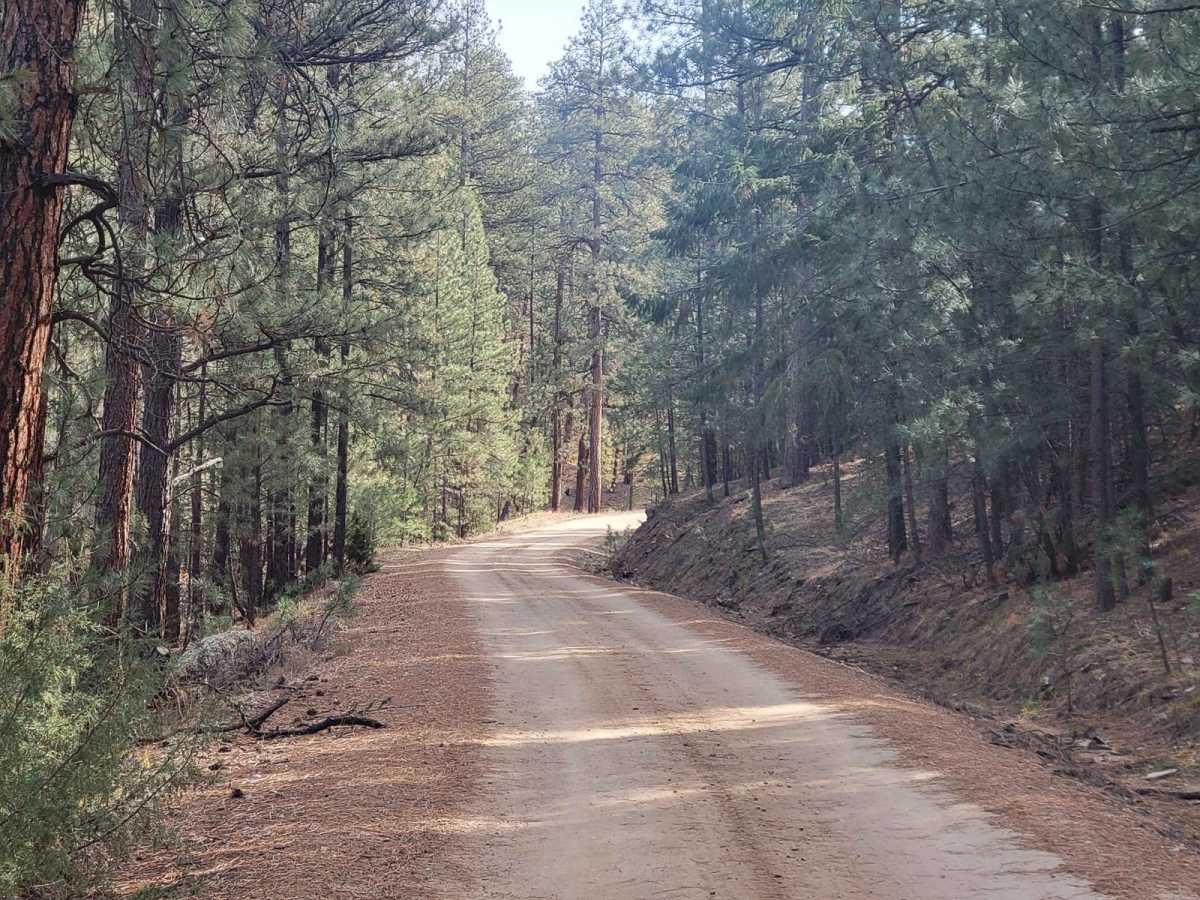 Borrego Mesa Trail photo 4