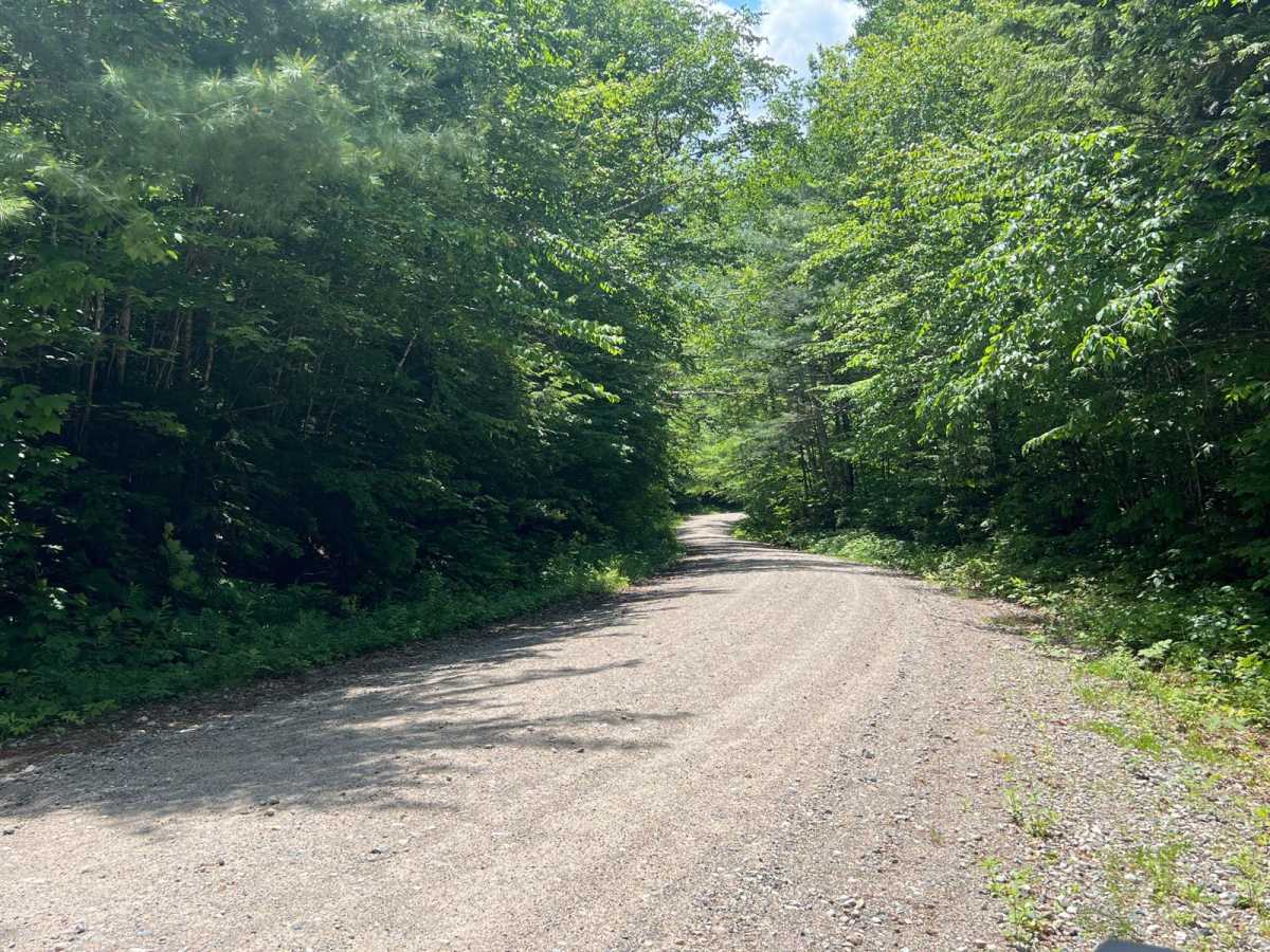 Little Larry Road photo 3