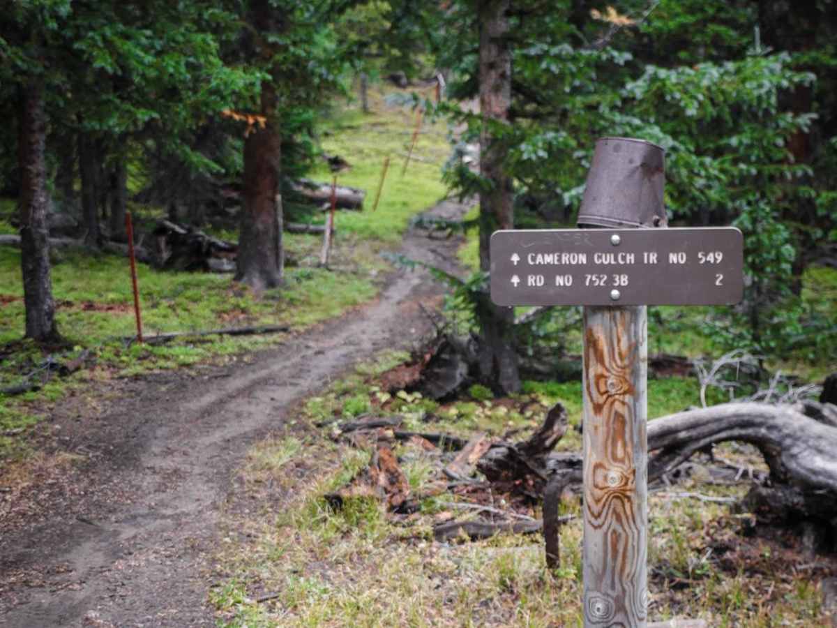 Cameron Gulch photo 3