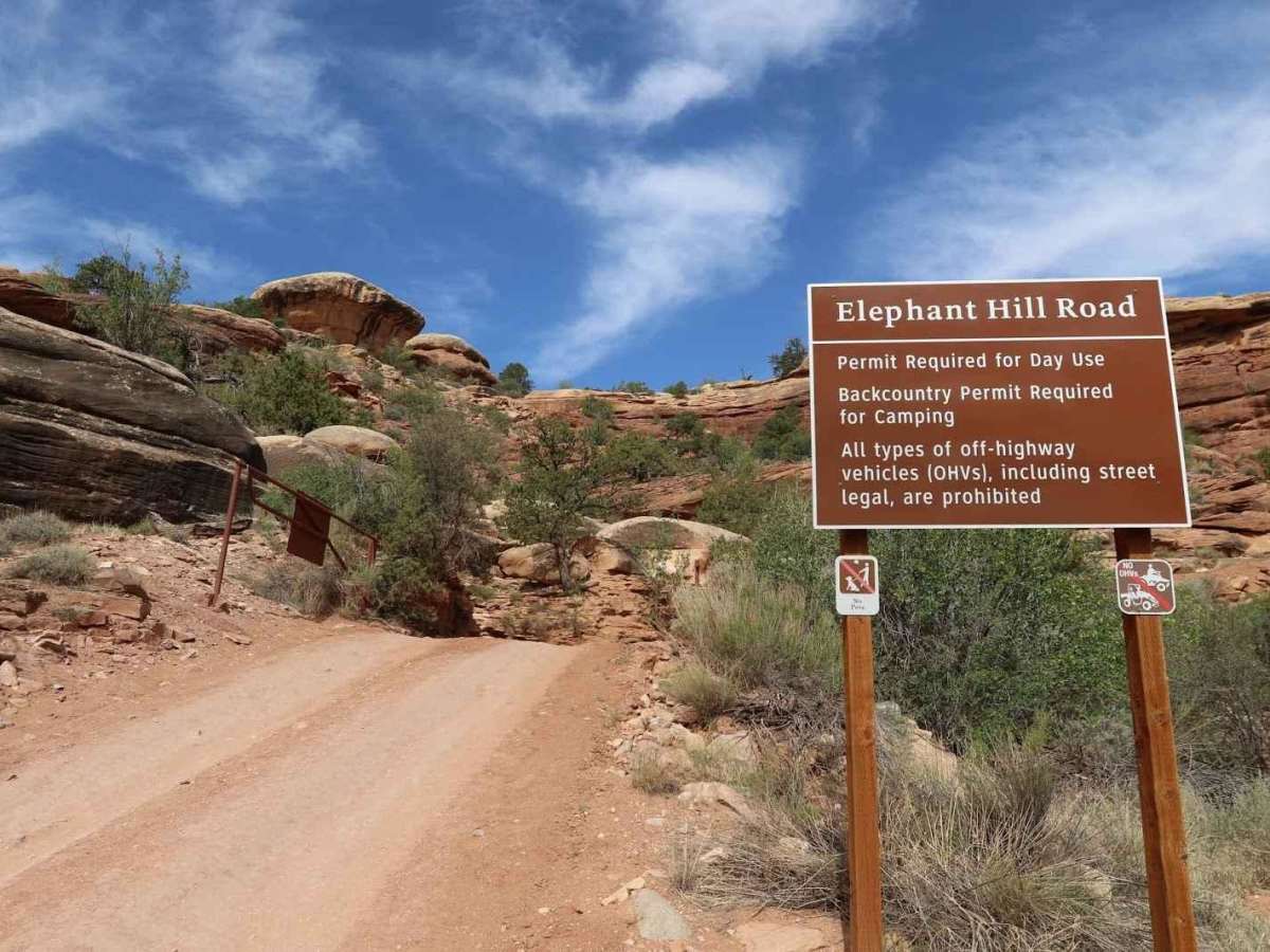 Elephant Hill Road trail photo