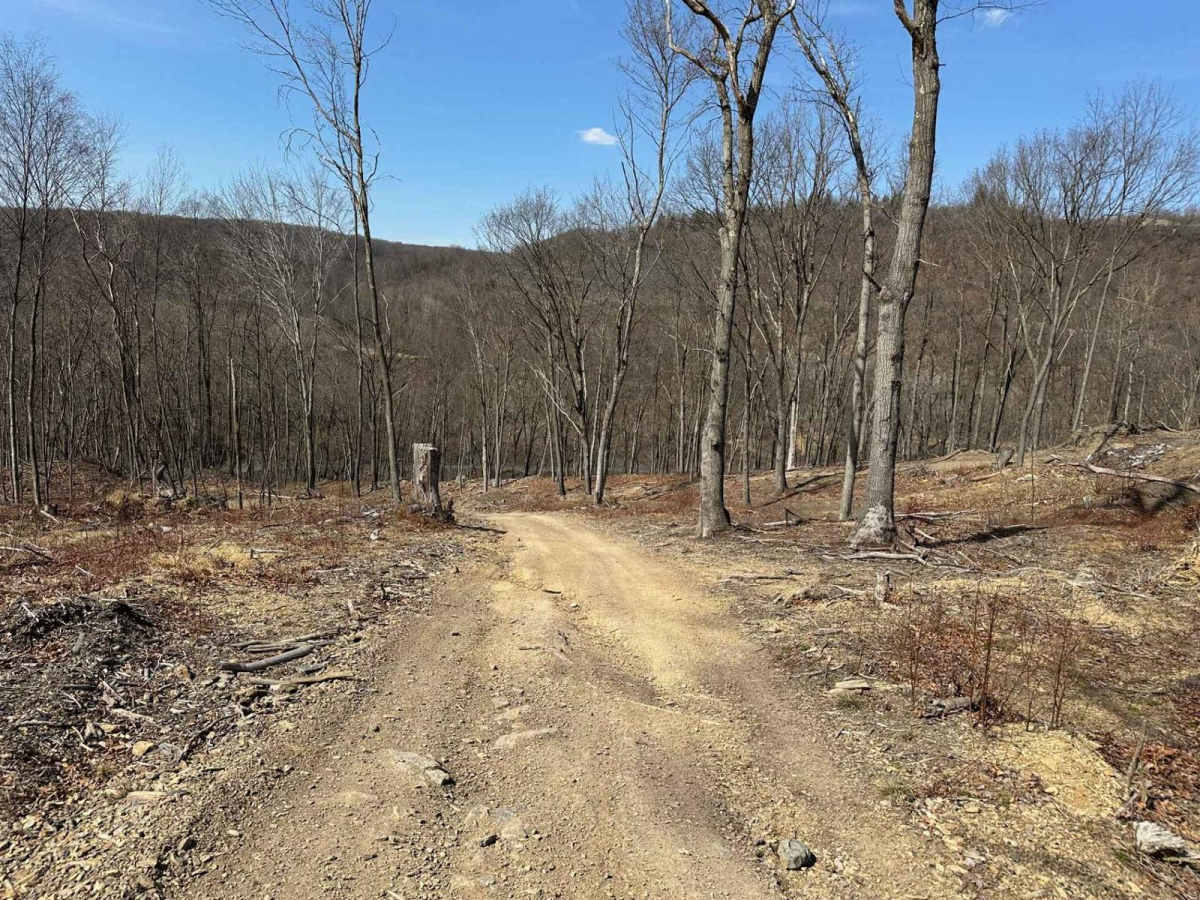 Ashland 20 photo 2