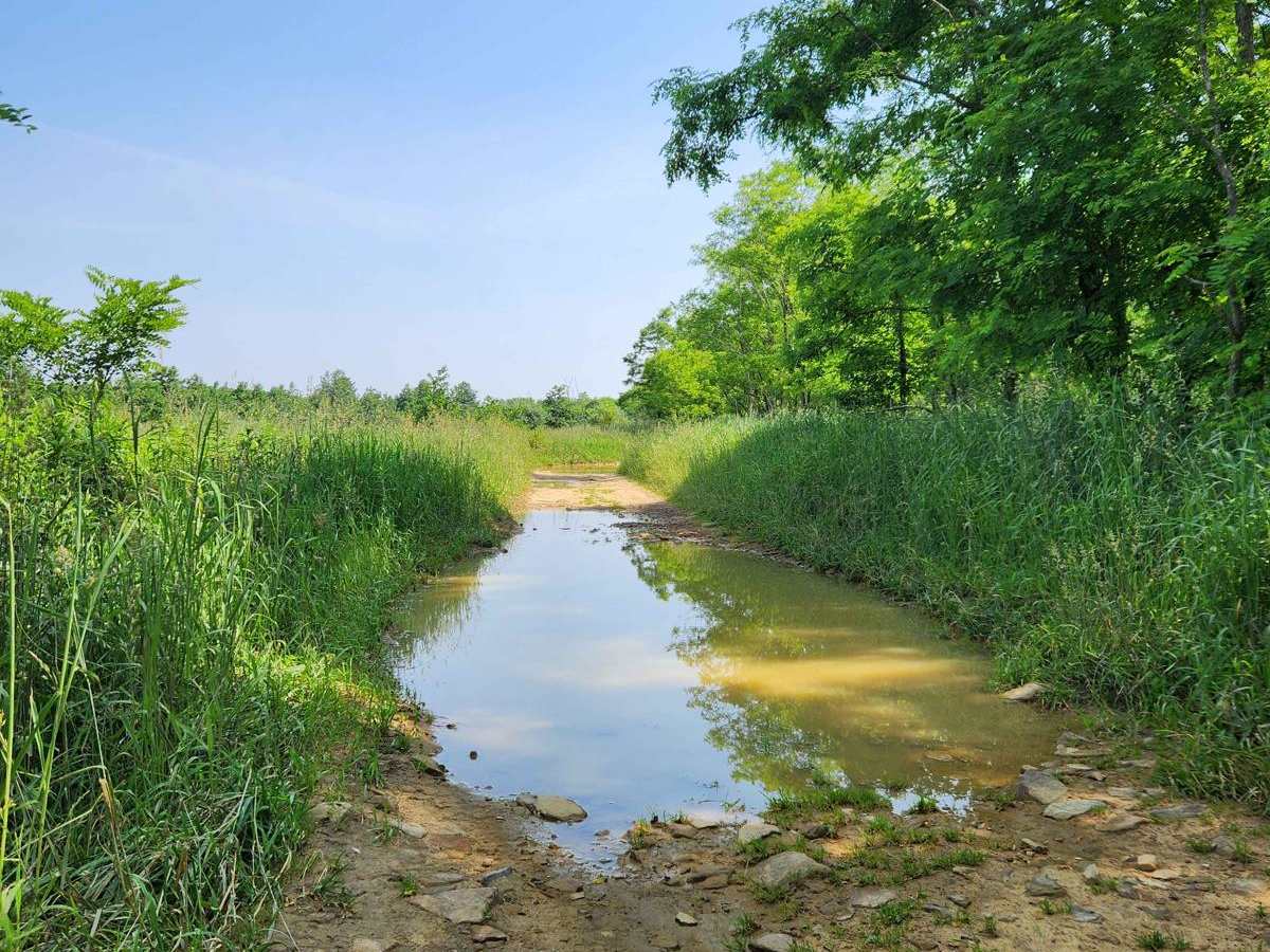 Rhino Path - Green - Rock Run Recreation Area photo 5