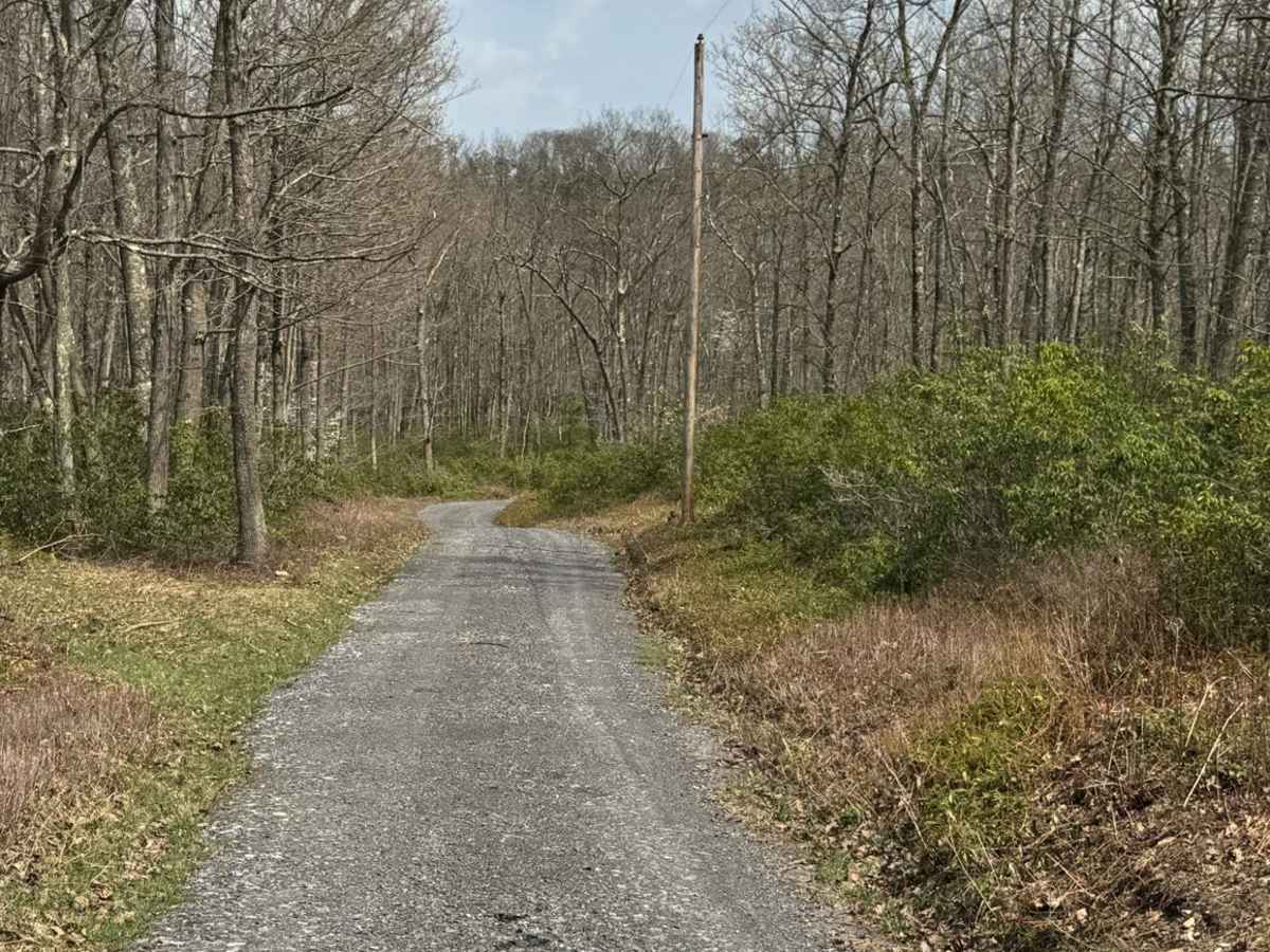 Boyer Mill Road photo 5